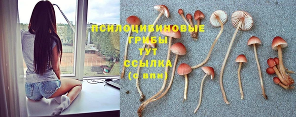 кокс Беломорск