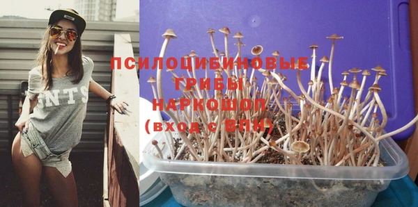 каннабис Белокуриха