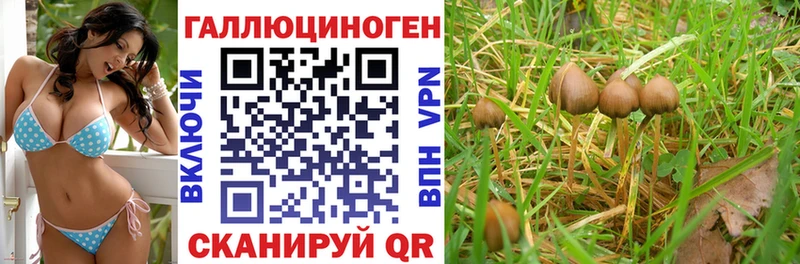 Псилоцибиновые грибы прущие грибы  blacksprut как войти  мориарти как зайти  Жиздра 